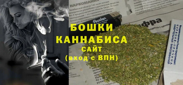 стафф Дмитров