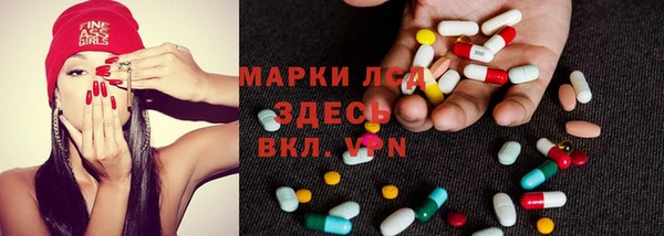 стафф Дмитров